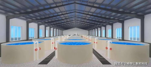 智慧水产 网络科技如何重塑现代养殖模式